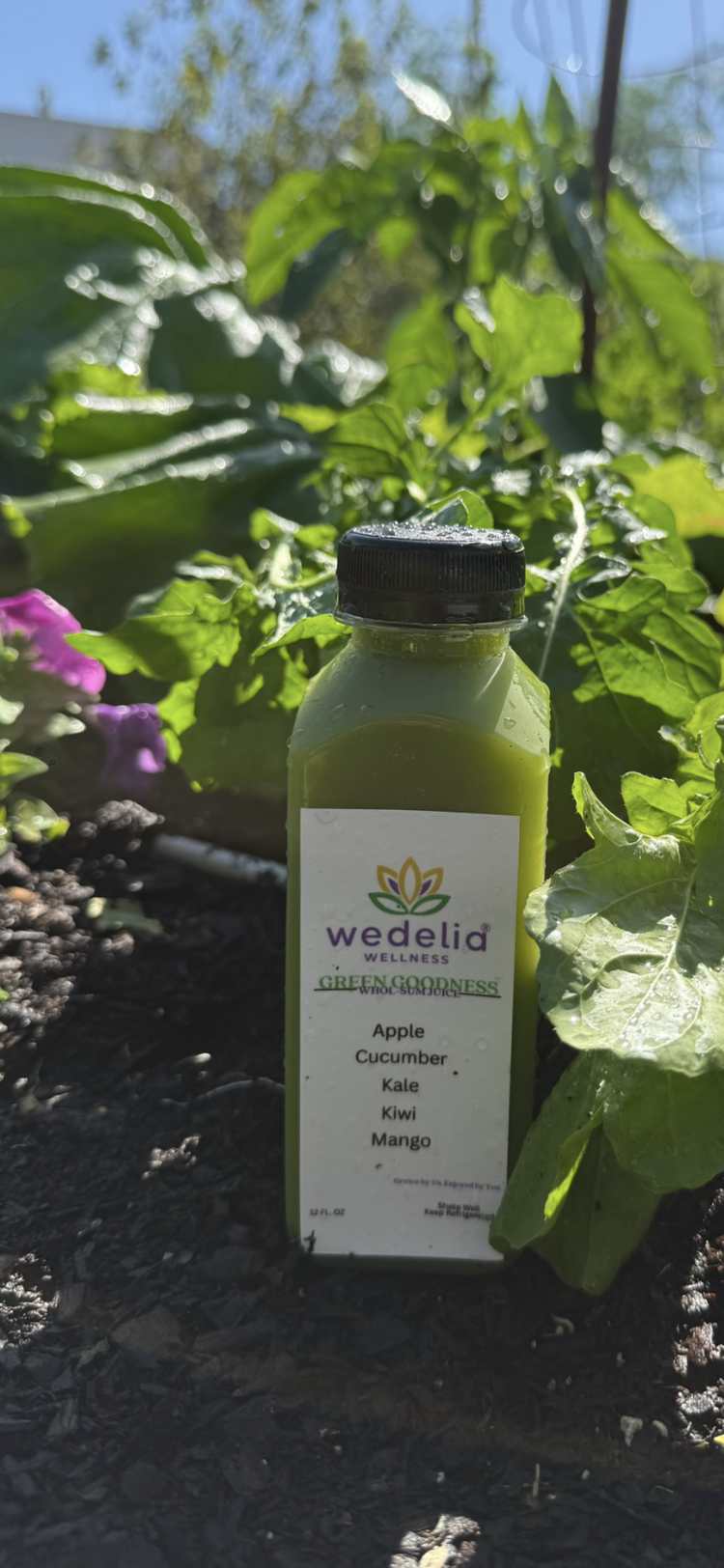 Green Goodness (Detox & Reset)
