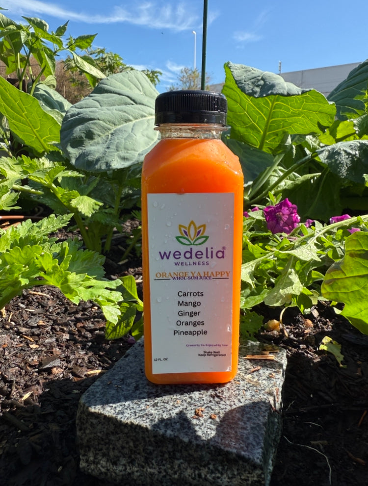 Orange Ya Happy (Immunity Blast)