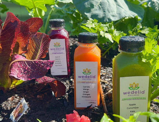Starter Cleanse (Gentle Cleanse)
